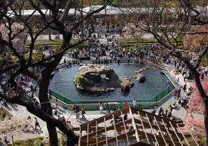 central park zoo